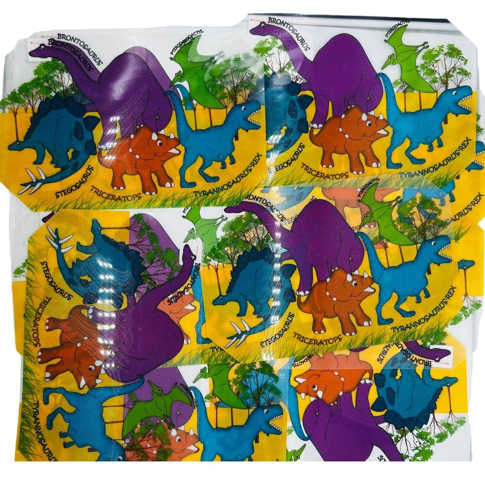 Dinosaur With Names Kids Table Placemats‎ Plastic Bendable Colorful Easy Clean